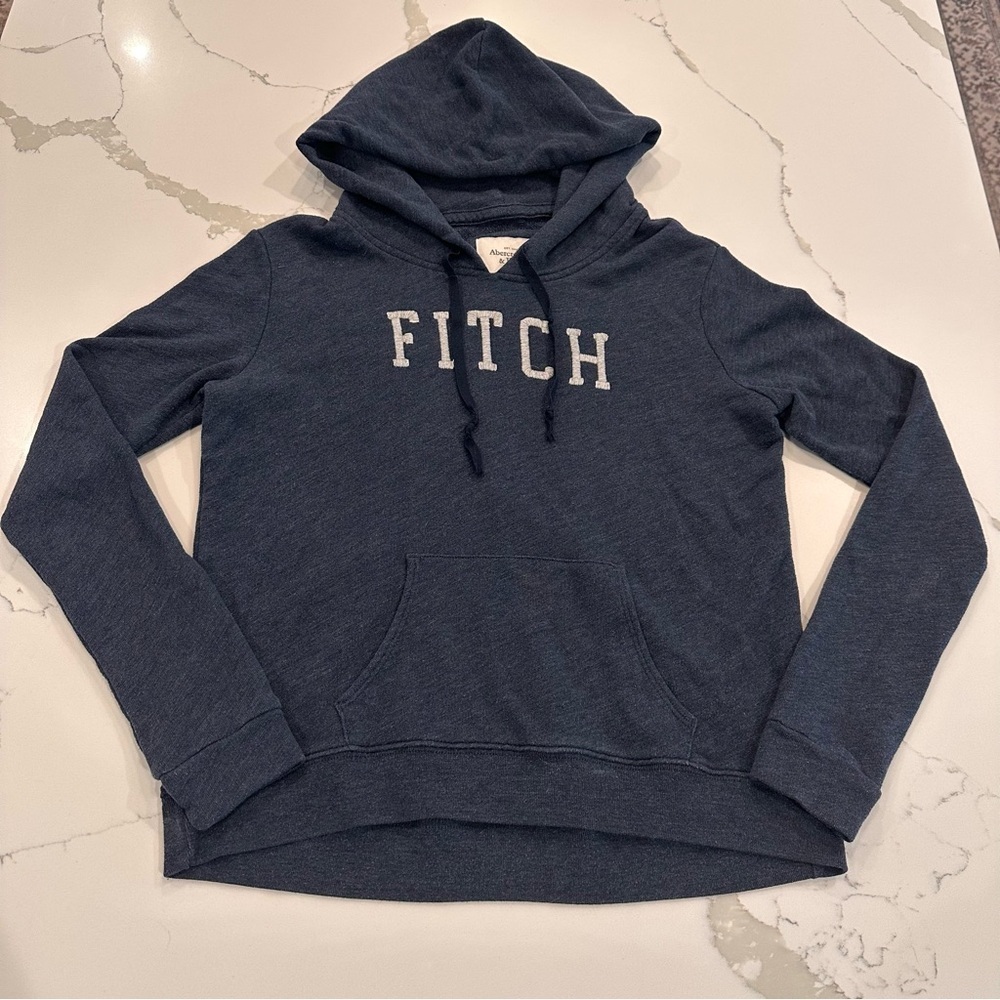 Abercrombie & Fitch Womens Blue Hoodie Sweater Sweatshirt M Embroidered Spellout